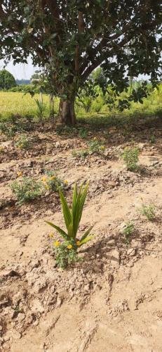 1a63fa70-8b92-4e60-ad3c-9d9cfdea1b4e (1)