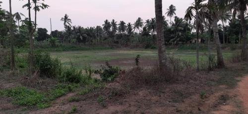 WhatsApp-Image-2026-02-21-at-3.21.06-PM