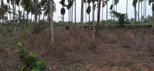 WhatsApp-Image-2026-02-21-at-3.21.39-PM