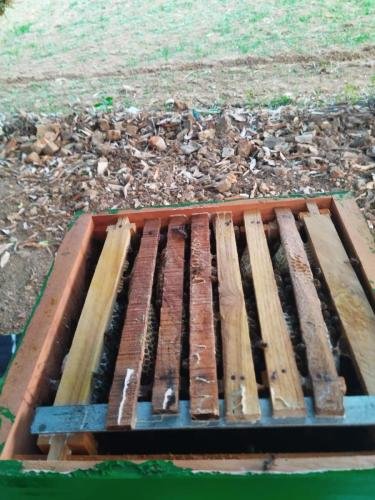 WhatsApp-Image-2026-02-21-at-3.38.21-PM