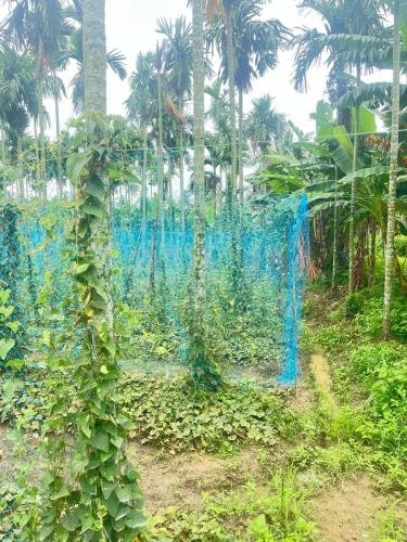 WhatsApp-Image-2026-02-21-at-3.38.27-PM