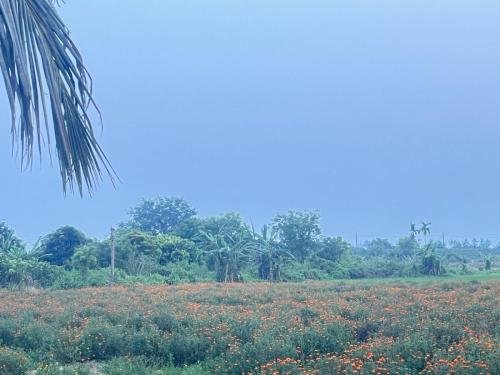 WhatsApp-Image-2026-02-21-at-3.40.24-PM-1