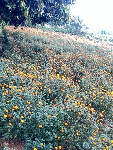 WhatsApp-Image-2026-02-21-at-3.40.25-PM-1