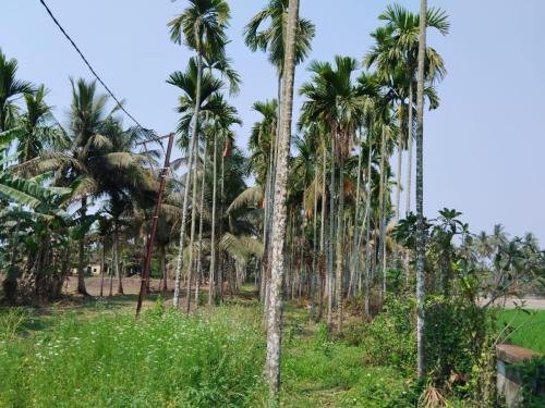 WhatsApp-Image-2026-02-23-at-11.43.36-AM-1