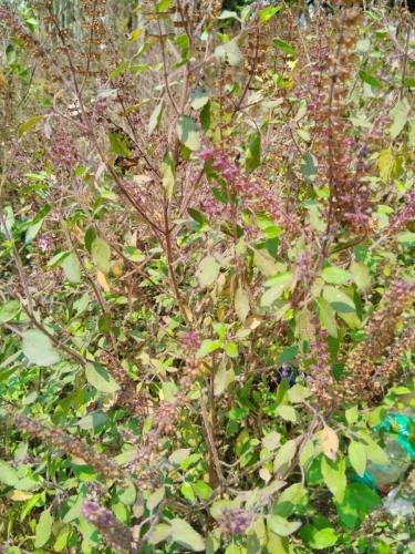 WhatsApp-Image-2026-02-23-at-11.43.36-AM-2