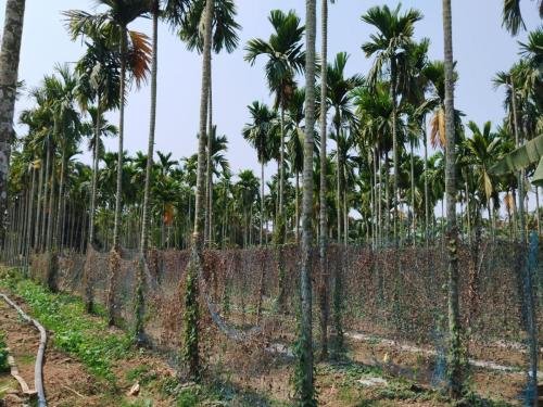 WhatsApp-Image-2026-02-23-at-11.43.36-AM