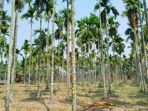 WhatsApp-Image-2026-02-23-at-11.43.37-AM-1