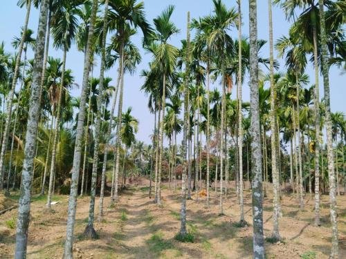 WhatsApp-Image-2026-02-23-at-11.43.37-AM