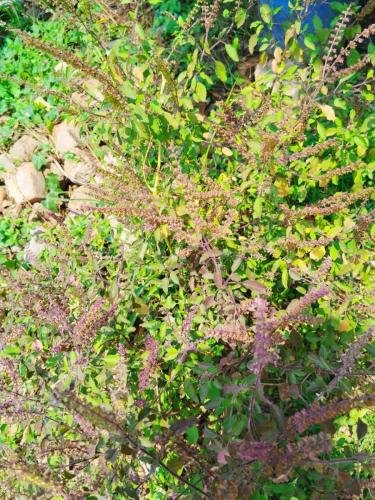 WhatsApp-Image-2026-02-23-at-11.43.38-AM-1