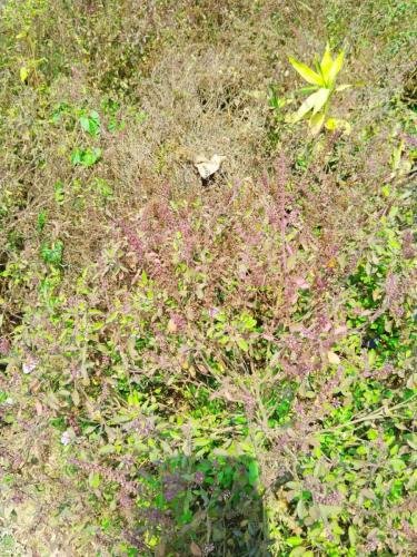 WhatsApp-Image-2026-02-23-at-11.43.38-AM-2