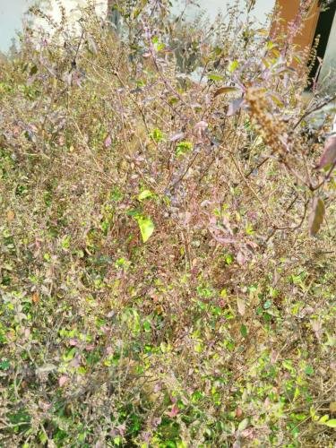 WhatsApp-Image-2026-02-23-at-11.43.38-AM