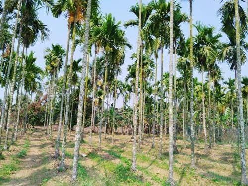 WhatsApp-Image-2026-02-23-at-11.43.39-AM-1