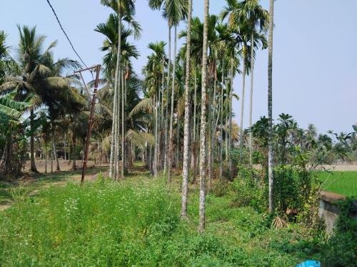 WhatsApp-Image-2026-02-23-at-11.43.39-AM