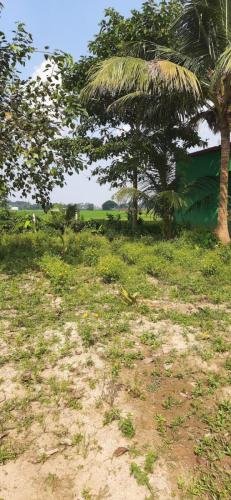 efe7956b-1b06-4e7f-8f8a-7a1aacba41e9